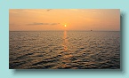 21_Fiji Allure